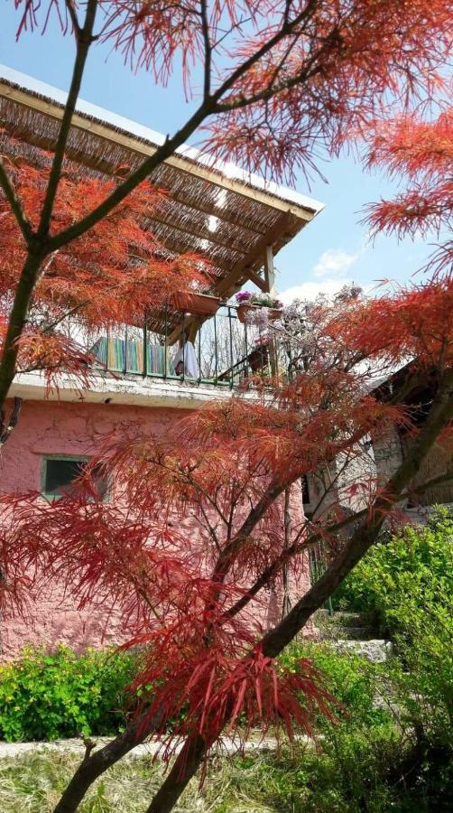 La Casa Rosa di Segusino (UNESCO ZONE) Sequsino Exterior foto